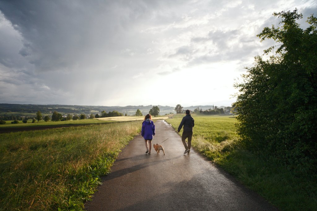 Man and woman walking a dog on a lead in a countryside setting.